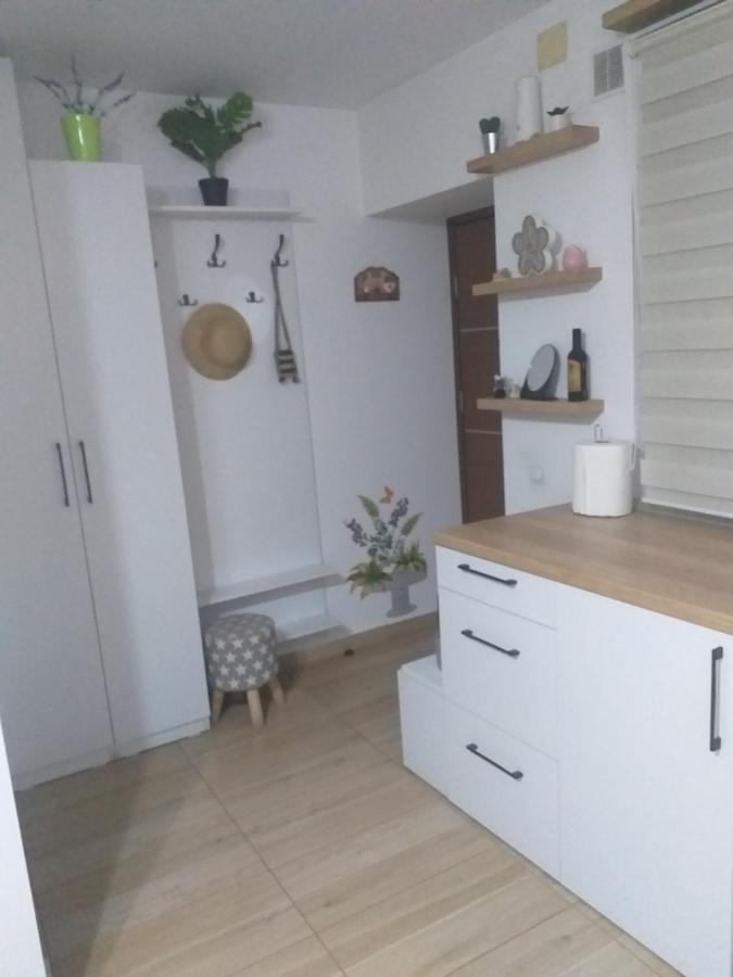 Fully Furnished Studio シゲトゥ・マルマツィエイ エクステリア 写真